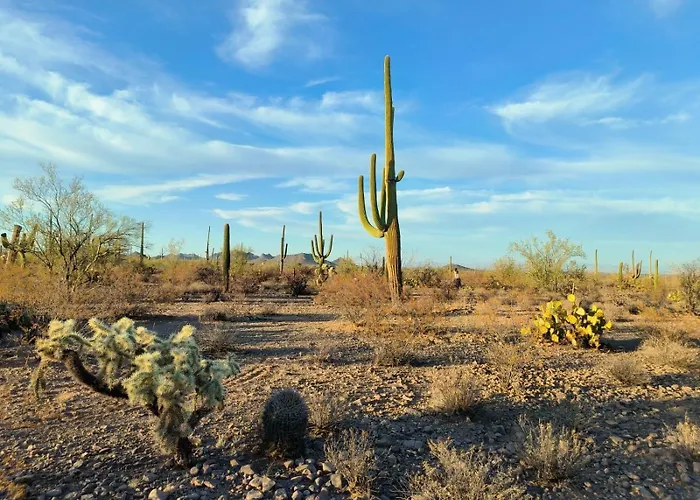 Saguaroglamp