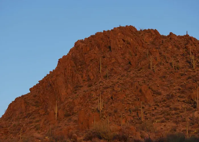 Saguaroglamp Luxury tent *