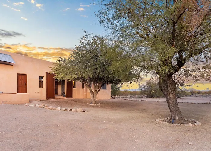 Saguaroglamp Luxury tent
