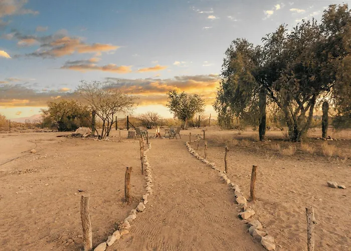 Luxury tent Saguaroglamp