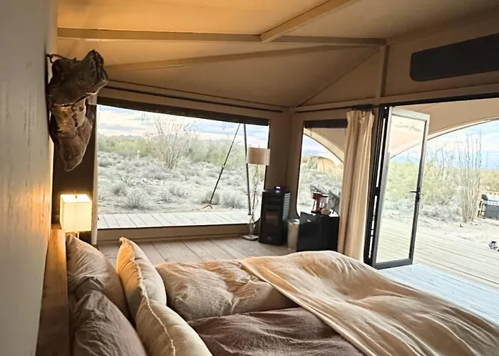 Luxury tent Saguaroglamp *