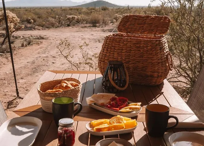 Luxury tent Saguaroglamp Marana