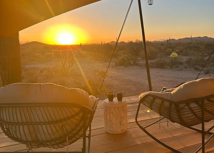 Saguaroglamp * Marana