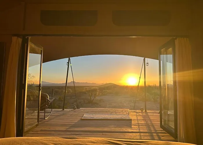 Luxury tent Saguaroglamp