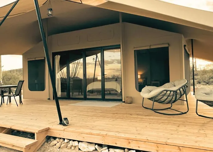 Luxury tent Saguaroglamp *