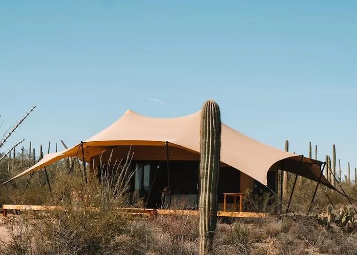Luxury tent Saguaroglamp *