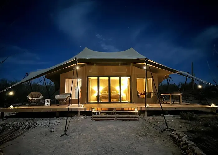 Saguaroglamp *