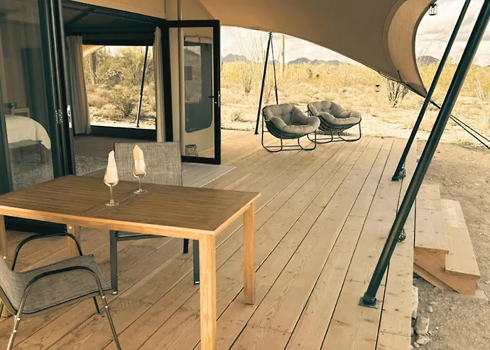 Saguaroglamp Marana