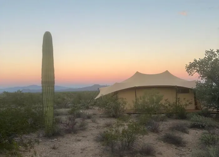 Saguaroglamp Luxuszelt *