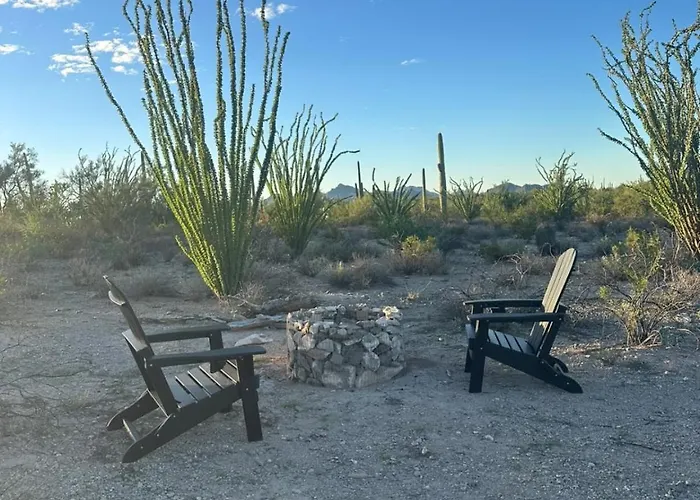 Saguaroglamp * Marana
