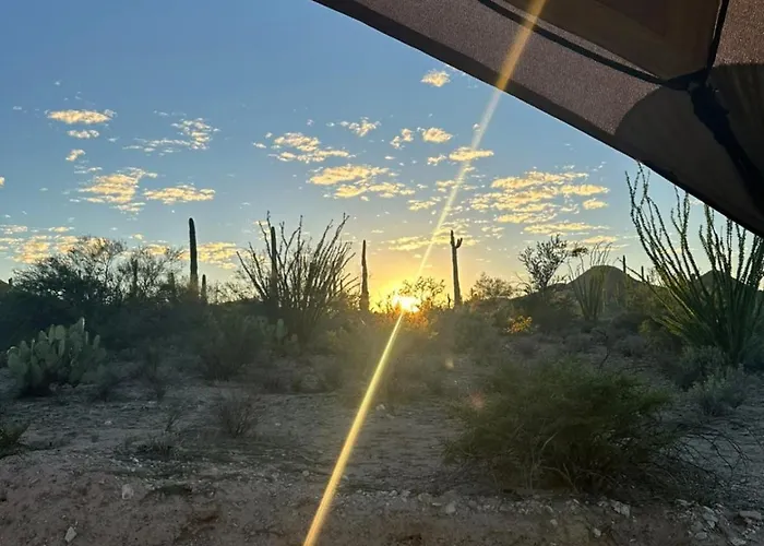 Saguaroglamp Luxuszelt