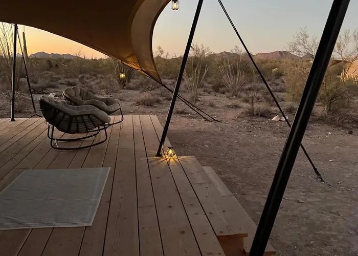 Saguaroglamp Marana